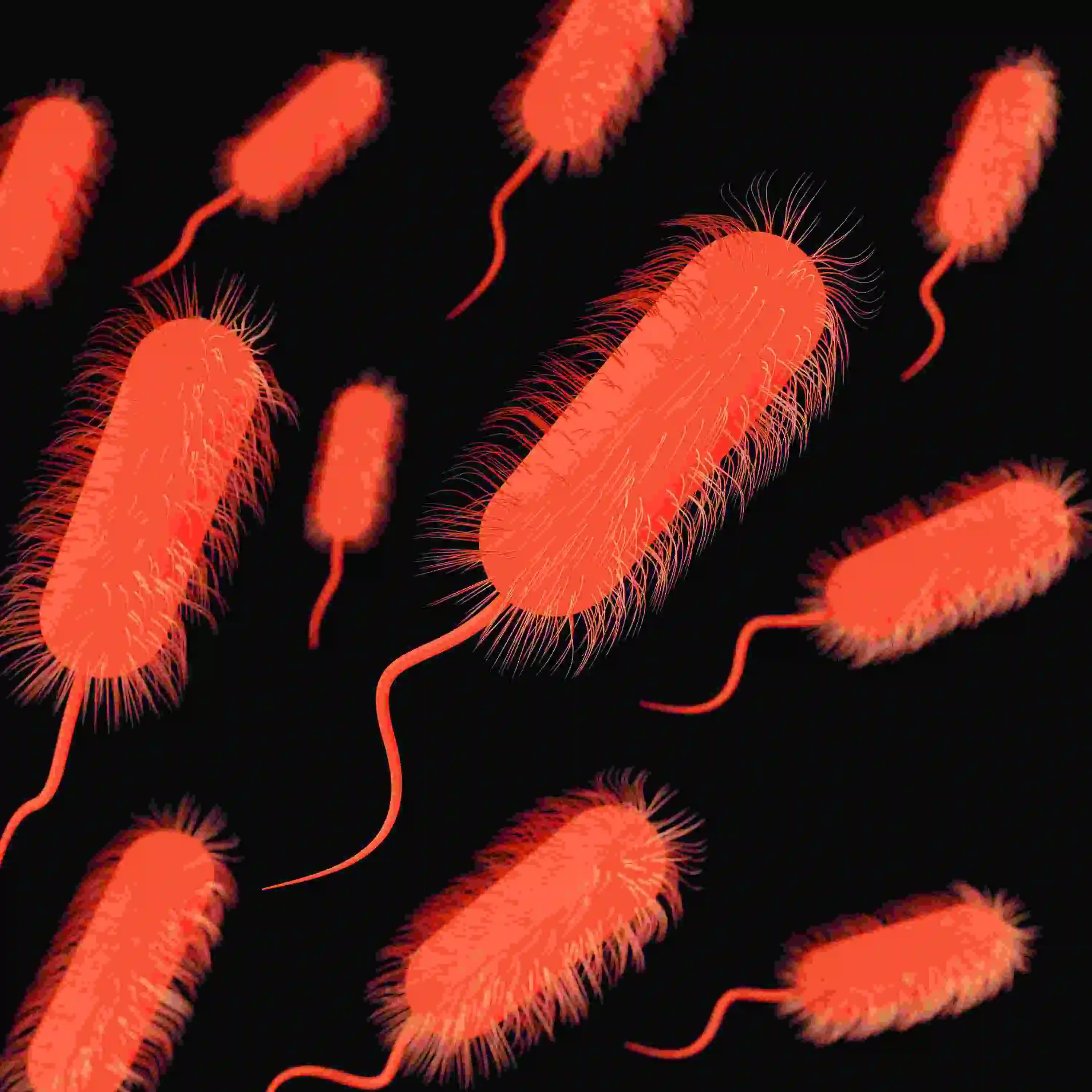Análise de microbiota