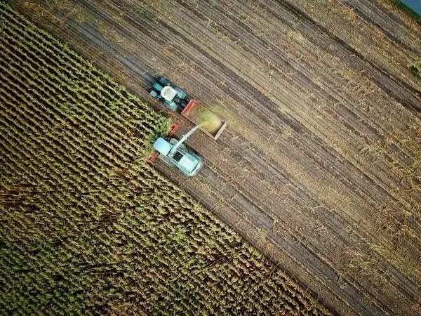 Serviços para Agricultura